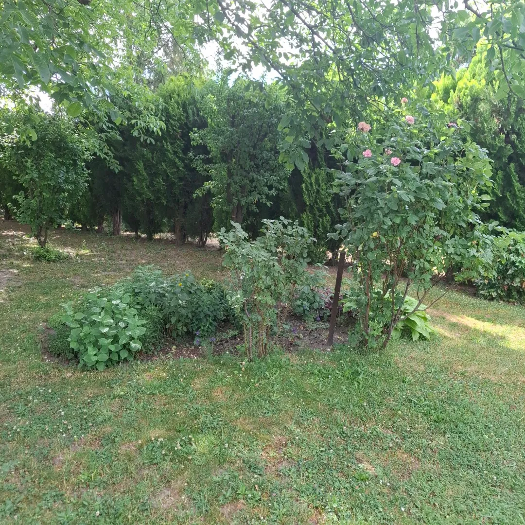 1226 m² Baugrund in Leopoldau nahe U1 - Widok 2