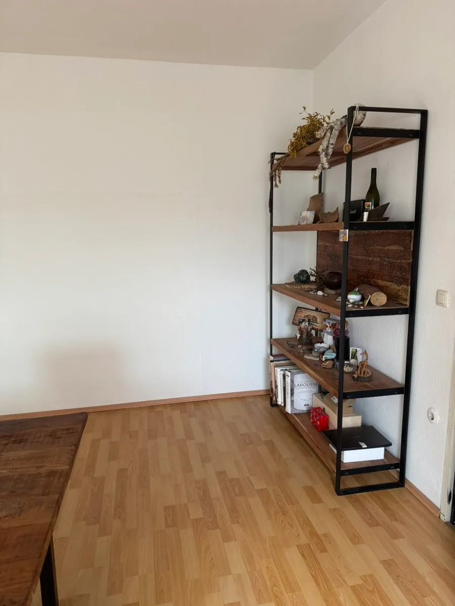 Möblierte 48 m² Wohnung in 1130 Wien - Befristete (Untermiete) Juni bis Oktober - View 3