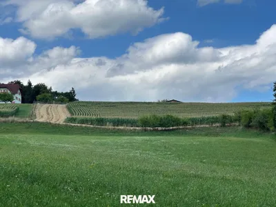 Grundstück kaufen in Südoststeiermark – 72 457 m², € 450.000 – Bild 6 von 9
