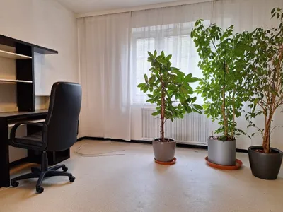 Gewerbeimmobilie mieten in Bruck an der Leitha – 73 m², € 1.115 – Bild 3 von 12