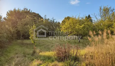 Grundstück kaufen in Wiener Neustadt Land – 984 m², € 379.000 – Bild 2 von 7