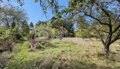 Grundstück kaufen in Wiener Neustadt Land – 984 m², € 379.000 – Bild 5 von 7