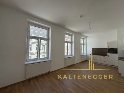 Helle 1-Zimmer-Wohnung mit 36,3 m² in Hauptbahnhofnähe – Bild 3