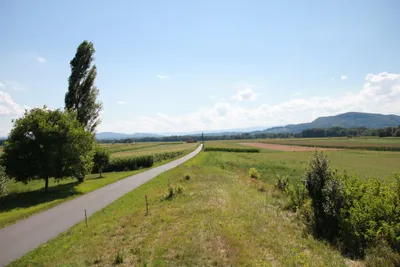 Grundstück kaufen in Leibnitz – 750 m², € 68.000 – Bild 8 von 11