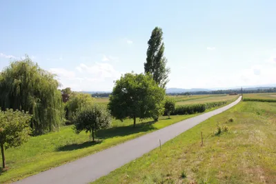 Grundstück kaufen in Leibnitz – 750 m², € 68.000 – Bild 7 von 11
