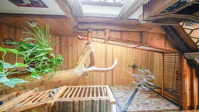5-Zimmer-Haus kaufen in Hartberg-Fürstenfeld – 186 m², € 499.000 – Bild 36 von 53