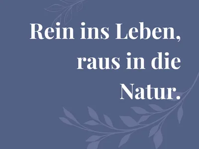 4-Zimmer-Wohnung kaufen in Linz – 164,4 m², € 989.000 – Bild 5 von 18