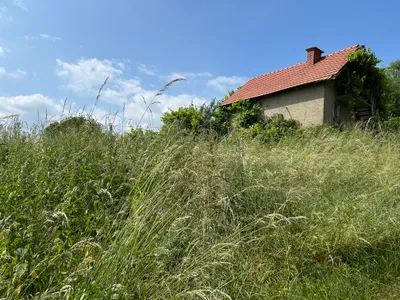 Grundstück kaufen in Leibnitz – 700 m², € 60.000 – Bild 8 von 8