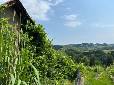 Grundstück kaufen in Leibnitz – 700 m², € 60.000 – Bild 6 von 8