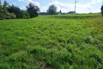 Grundstück kaufen in Ried im Innkreis – 765 m², € 150.000 – Bild 2 von 4