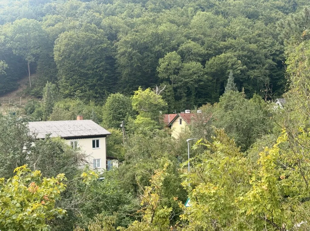 1.076 m² Baugrundstück in Weißenbach bei Mödling - Ansicht 3