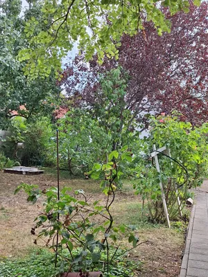 3-Zimmer-Haus kaufen in Neusiedl am See – 110 m², € 200.000 – Bild 3 von 29