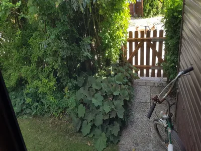 3-Zimmer-Wohnung kaufen in Eisenstadt - Umgebung – 31 m², € 45.000 – Bild 9 von 84
