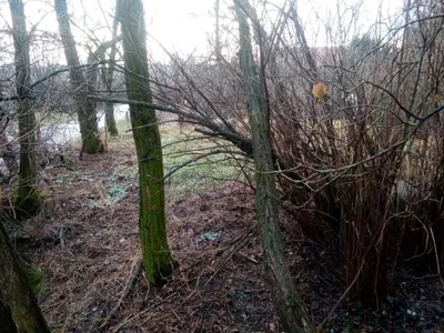 Immobilie kaufen in Mistelbach – 86 m², € 33.000 – Bild 24 von 24