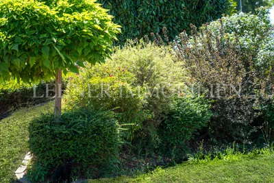 4-Zimmer-Haus kaufen in Graz-Umgebung – 117 m², € 799.000 – Bild 29 von 87