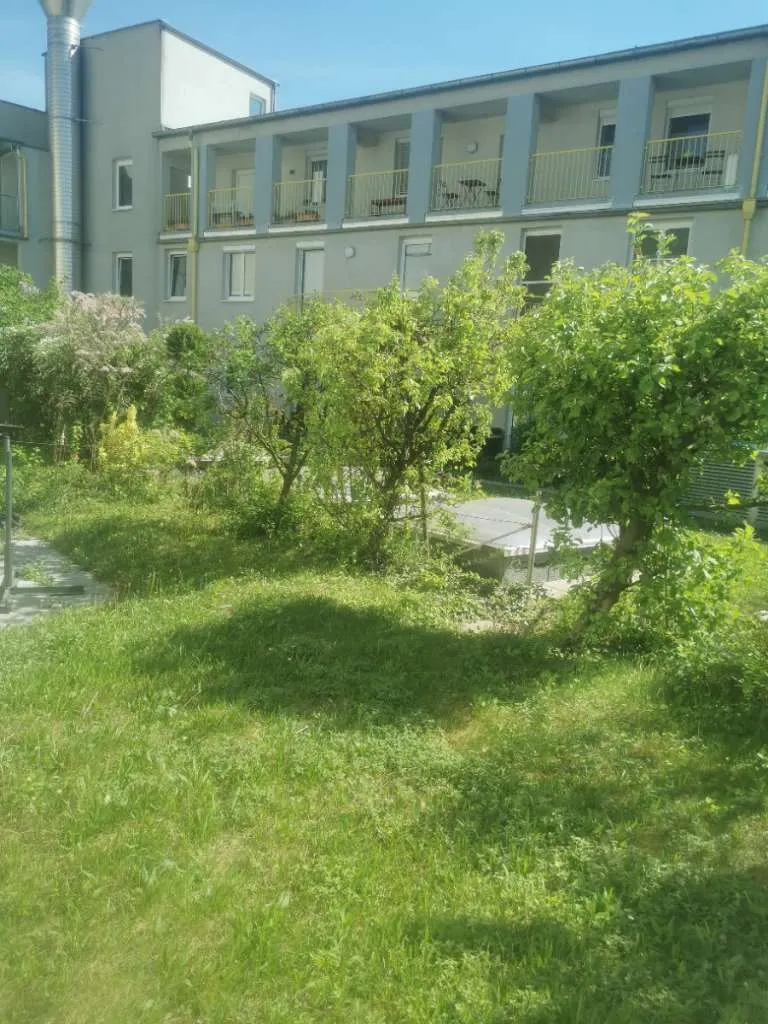 Charmante Wohnung mit Garten - Ansicht 2