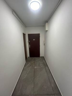 Kompakte 1-Zimmer-Wohnung