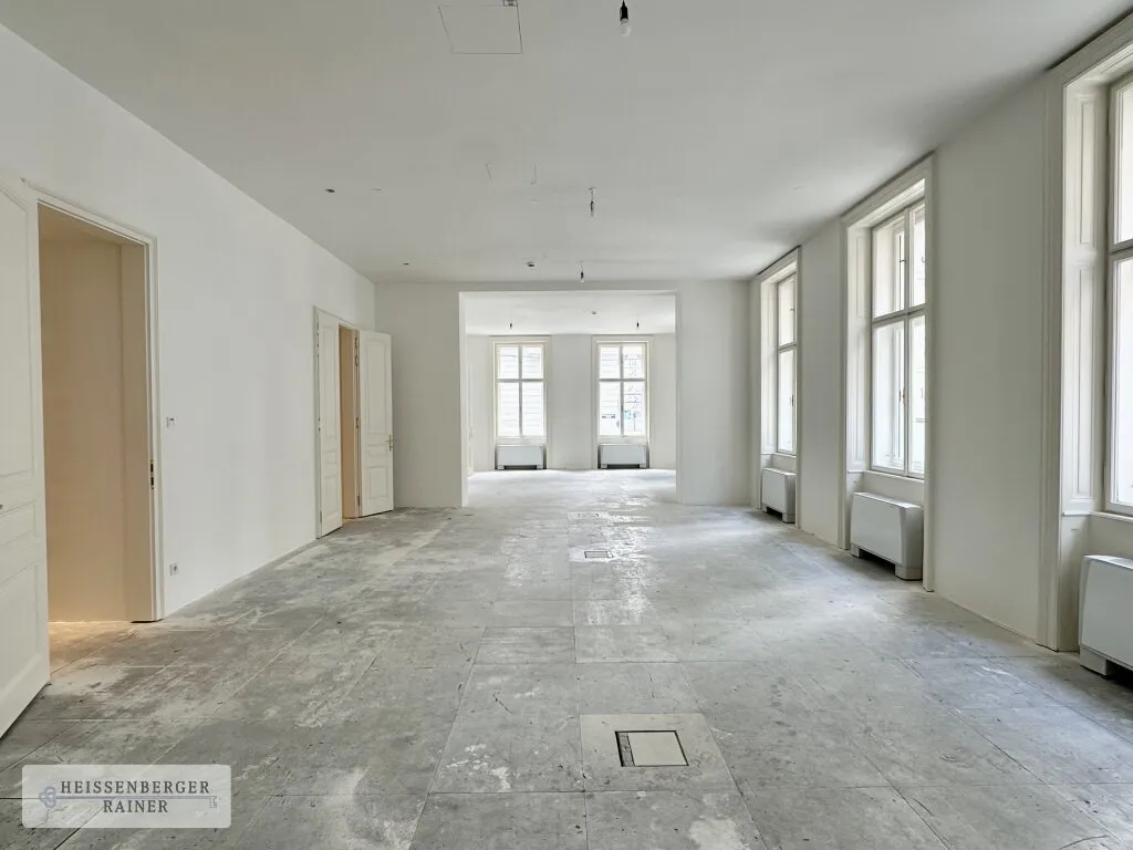 ERSTBEZUG, REPRÄSENTATIV & FLEXIBEL /// EINE GANZE ETAGE IN BESTER LAGE /// RATHAUS, UNIVERSITÄT WIEN - Ansicht 2