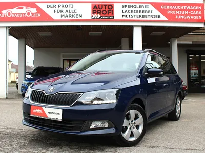 Skoda Fabia Combi Ambition 1,0 TSI *Tempomat, Parksen...