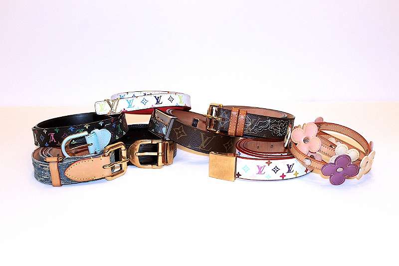 LOUIS VUITTON Dames Hundehalsband