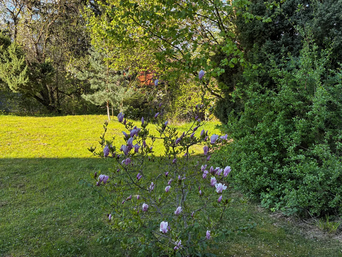 Wohnung – Hausmanning - Ansicht 2