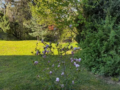 3-Zimmer-Wohnung mieten in Kirchdorf an der Krems – 95 m², € 1.095 – Bild 2 von 8