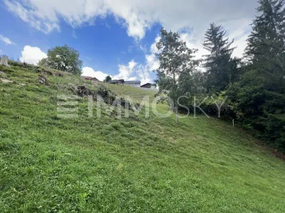 Grundstück kaufen in Bregenz – 1 300 m², € 468.000 – Bild 3 von 5