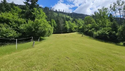 Grundstück kaufen in Spittal an der Drau – 3 121 m², € 189.000 – Bild 1 von 9