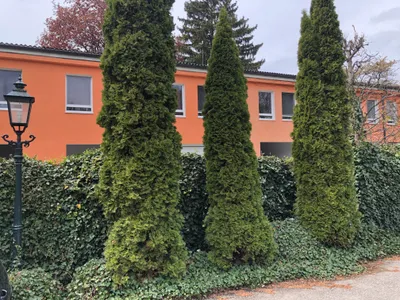 2-Zimmer-Wohnung mieten in Wels – 60 m², € 745 – Bild 11 von 12