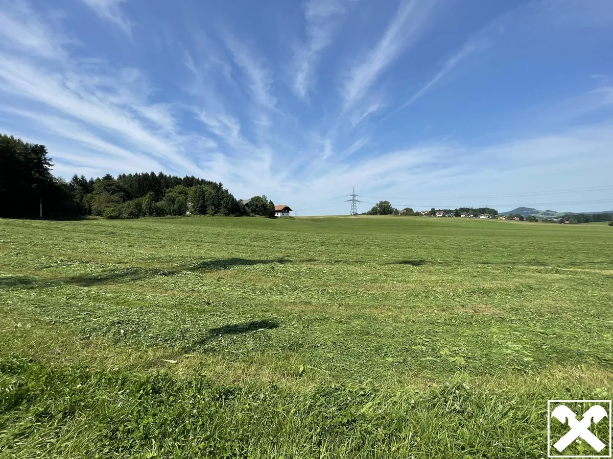 Baugrundstück in Mödlham - View 2