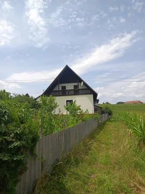 4-Zimmer-Haus kaufen in Güssing – 80 m², € 119.950 – Bild 5 von 56