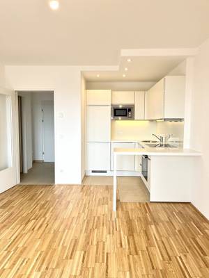 Charmante Balkonwohnung mit 2-Zimmer in Floridsdorf! Ab Juli! – Bild 2