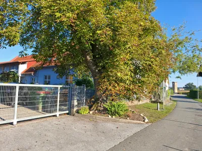 2-Zimmer-Wohnung mieten in Graz-Umgebung – 50 m², € 668 – Bild 56 von 62