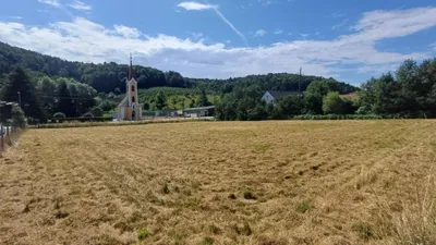 Grundstück kaufen in Südoststeiermark – 3 000 m², € 123.690 – Bild 2 von 6