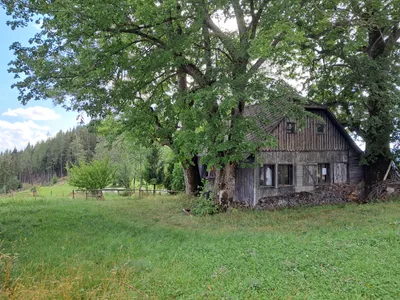 1-Zimmer-Wohnung mieten in Voitsberg – 30 m², € 40 – Bild 2 von 7
