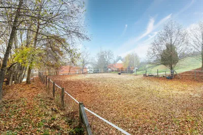 9-Zimmer-Immobilie kaufen in Güssing – 350 m², € 999.000 – Bild 45 von 60