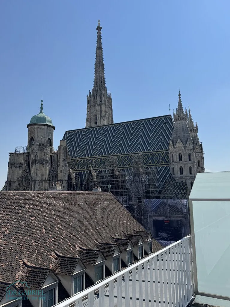 PERFEKTE CITY-WOHNUNG MIT TERRASSE BEIM STEPHANSPLATZ - Ansicht 2
