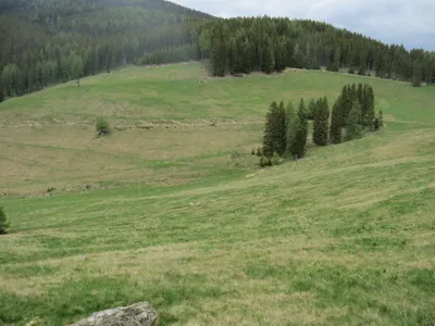 Immobilie kaufen in Murtal – 42 045 m²