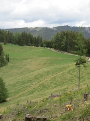 Immobilie kaufen in Murtal – 42 045 m² – Bild 2 von 7