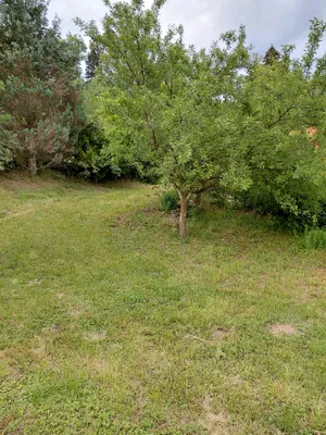 Grundstück kaufen in Sankt Veit an der Glan – 943 m², € 94.000 – Bild 11 von 19