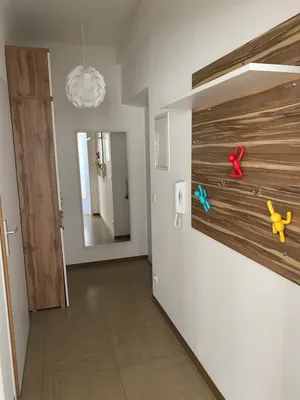 1-Zimmer-Wohnung mieten in Wien – 34 m², € 324 – Bild 3 von 7