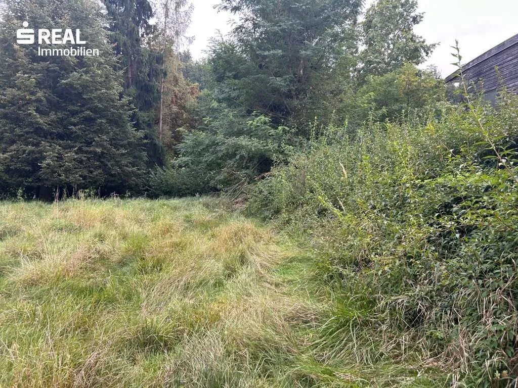 Großzügiges Baugrundstück in Top Lage 8010 Graz-Ries - Ansicht 3