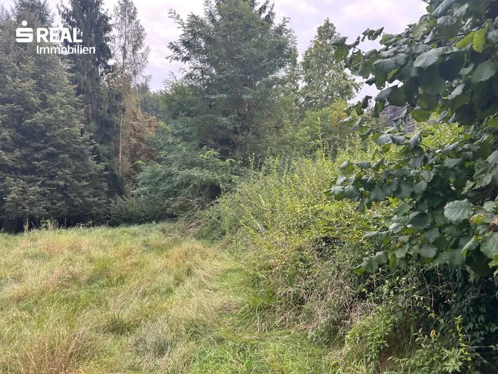 Großzügiges Baugrundstück in Top Lage 8010 Graz-Ries - Ansicht 2