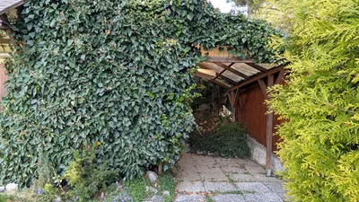 3-Zimmer-Haus kaufen in Sankt Pölten Land – 68 m², € 259.000 – Bild 34 von 54