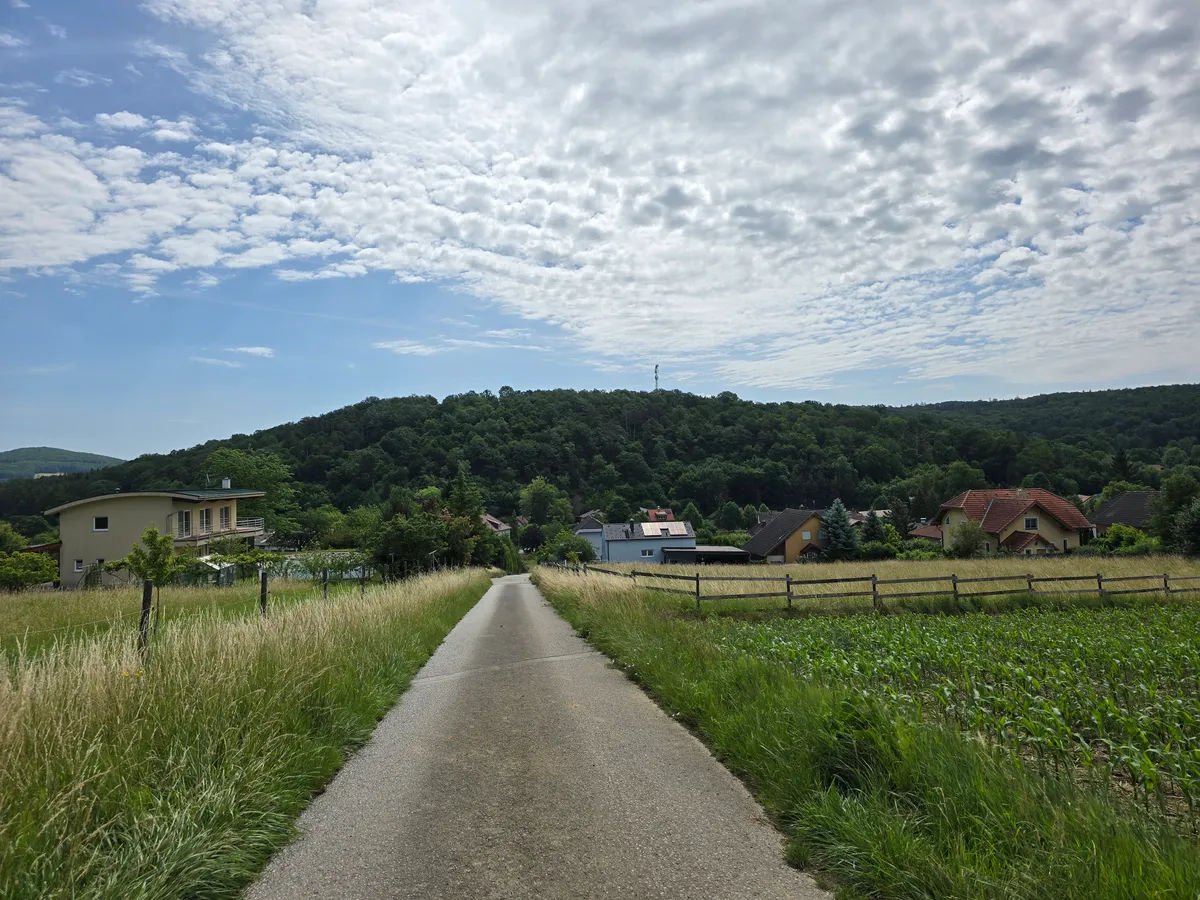 Kogl bei Sieghartskirchen, Eckgrundstück 1468 m² am Rande einer Siedlung - Ansicht 2