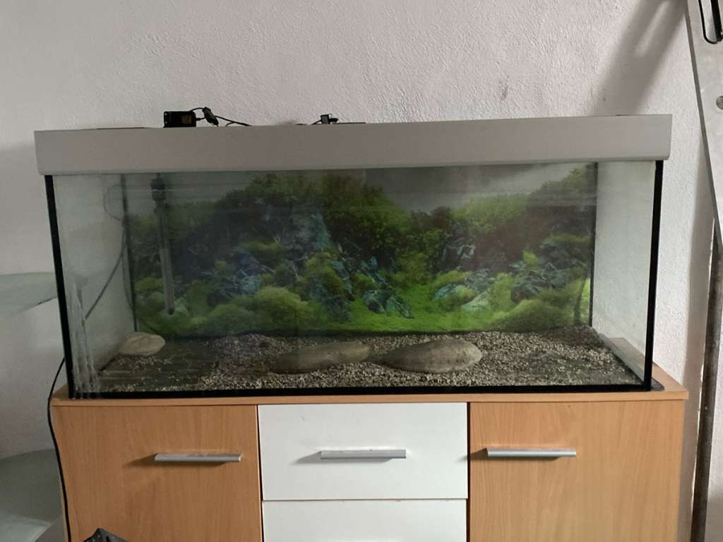 Aquarium cheapest zu verkaufen.