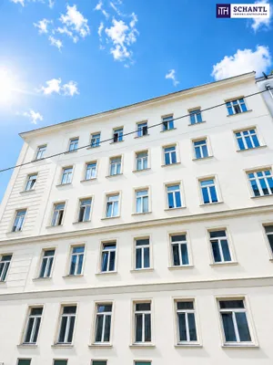 Gewerbeimmobilie kaufen in Wien – 1 381,66 m² – Bild 4 von 21
