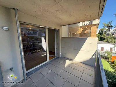 1-Zimmer-Wohnung mieten in Wien – 34,41 m², € 699 – Bild 6 von 9