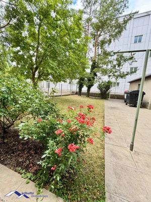 2-Zimmer-Wohnung mieten in Baden – 35 m², € 699 – Bild 20 von 27