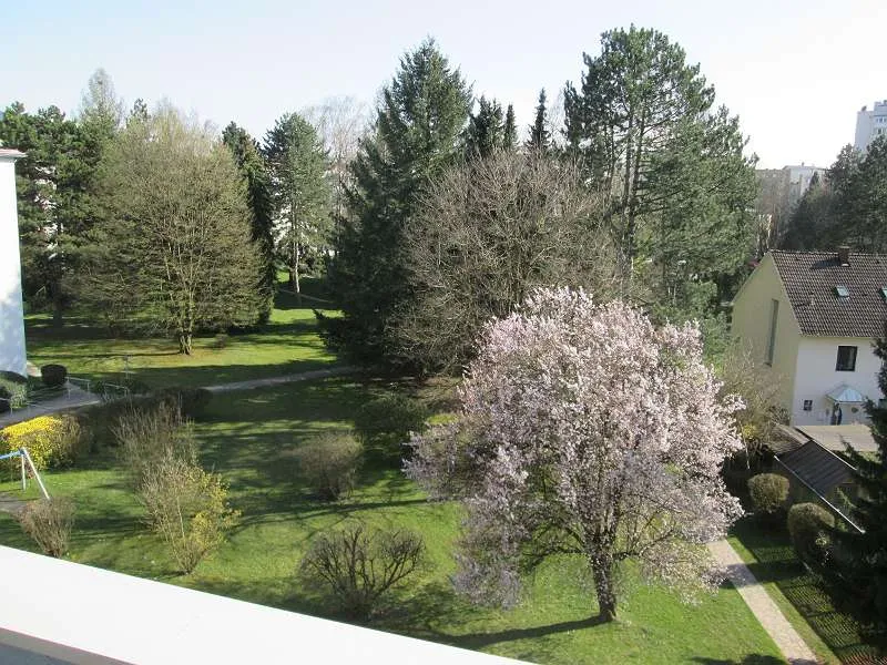 Wohnung – Linz - Ansicht 3